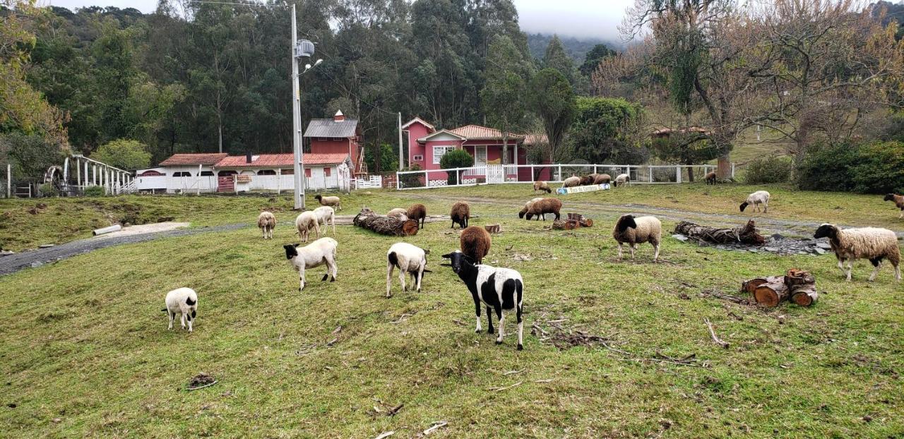 Casa Campo Yurt 3 Aconchego tenda mongólica Wifi Urubici Exterior foto